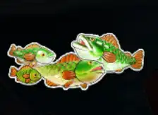 Betboo Big Bass Bonanza slot image 7